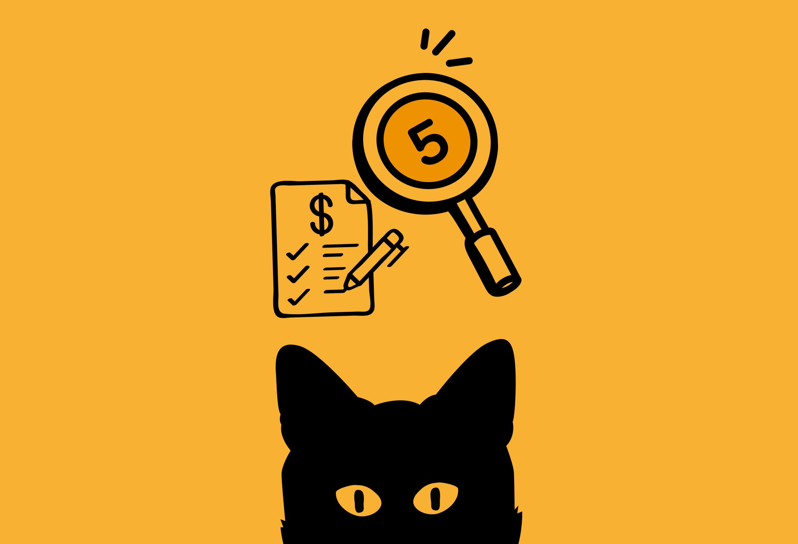 5 כללים איך לבחור חברת השקעות נדלן בחול עלילות החתול בנדלן בחול - #4