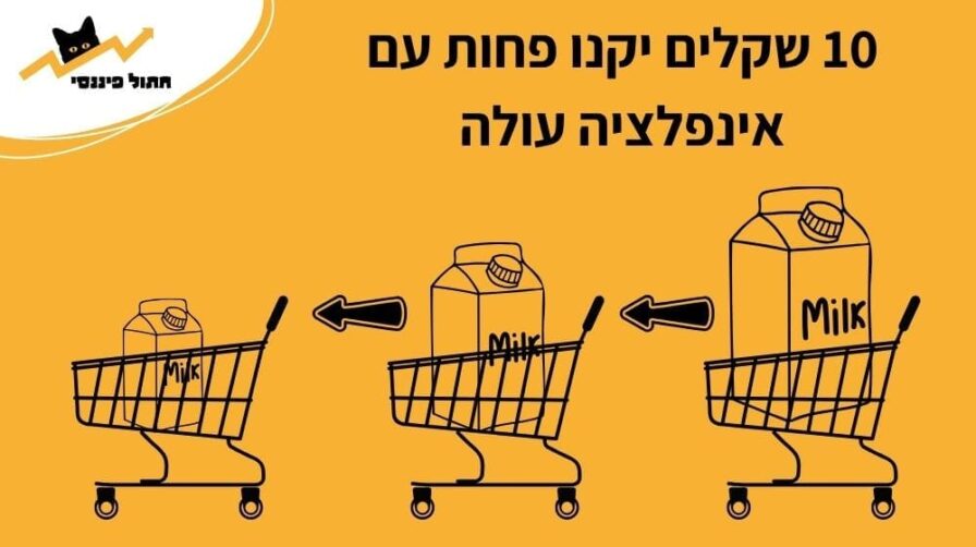 אינפוגרפיקה המראה את השפעת האינפלציה על סל הקניות שלנו שהולך ומתכווץ עם השנים לאור עליה במחירים
