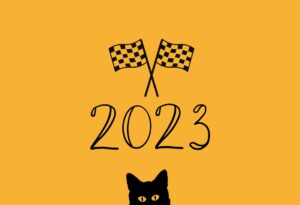 סיכום שנת 2023 חתול פיננסי