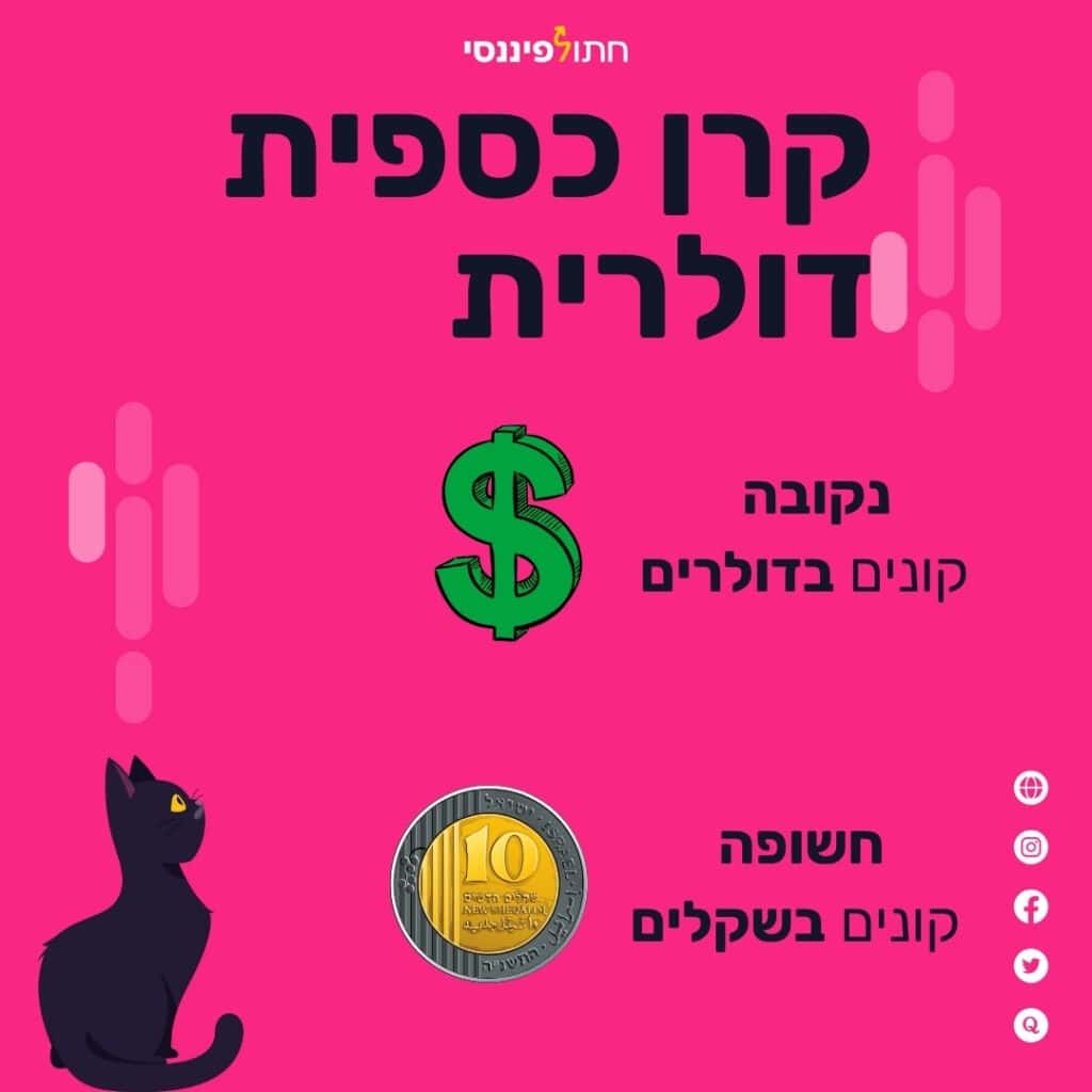 התמונה מתארת את ההבדל בין קרן כספית דולרית נקובה לבין קרן כספית דולרית חשופה. יש איור של דולר שלידו כיתוב שמסביר על קרן נקובה בדולר וקרן חשופה לדולר