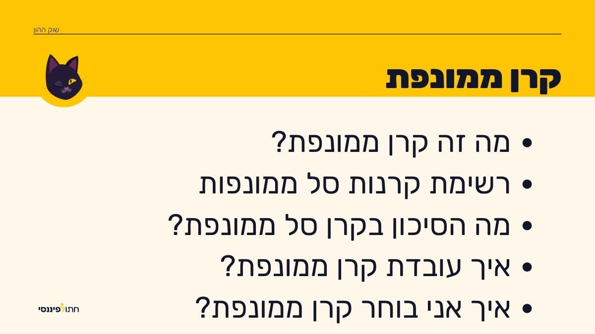 תמונה המציגה כותרת "קרן ממונפת" עם שאלות נפוצות על התחום: מה זה קרן ממונפת, רשימת קרנות סל ממונפות, מה הסיכון בקרן ממונפת, איך עובדת קרן ממונפת, ואיך בוחרים קרן ממונפת. ברקע עיצוב של חתול פיננסי ולוגו המותג.