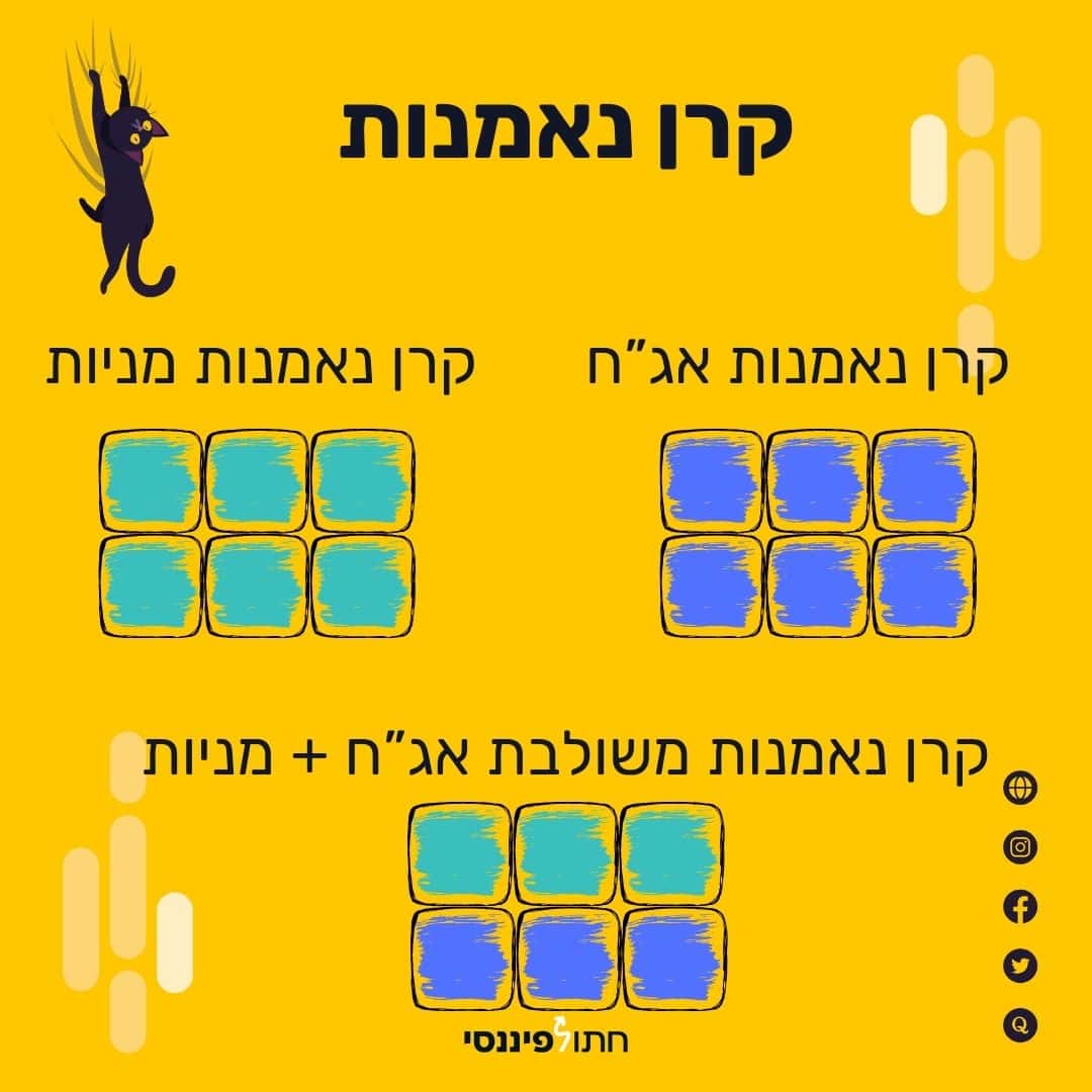 קרן נאמנות מניות ואג"ח
