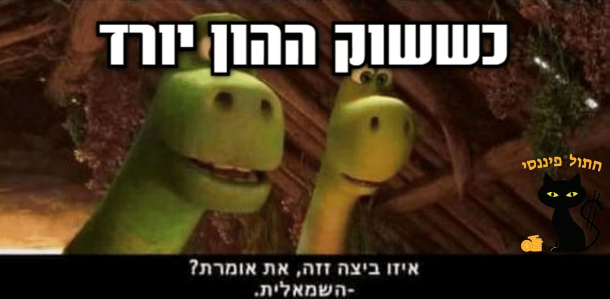 תמונה מצחיקה MEME שמתארת מצב שבו שוק ההן יורד אבל זה לא מפריע למשקיעים כי הם משקיעים לטווח ארוך ולא מתרגשים מירידות מקומיות בשווקים
