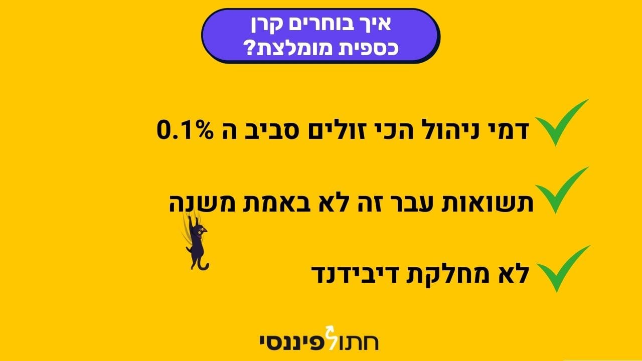 איך לבחור קרן כספית מומלצת - טיפים וקריטריונים חשובים לבחירה חכמה, כולל דמי ניהול נמוכים, התעלמות מתשואות עבר ומניעת חלוקת דיבידנד, עם לוגו חתול פיננסי