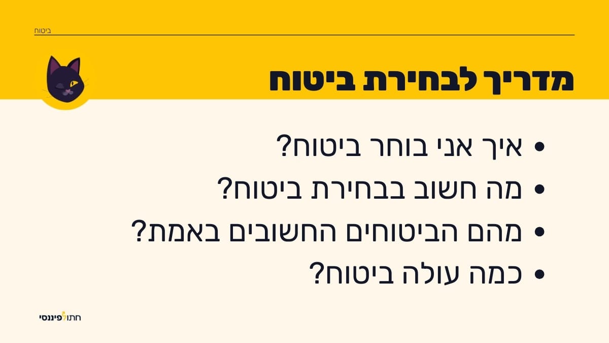 מדריך לבחירת ביטוח שמסביר איך לבחור ביטוח שמתאים באמת, מה חשוב לבדוק לפני שרוכשים ביטוח, אילו ביטוחים באמת נחוצים וכמה זה אמור לעלות - הכל עם גישה פשוטה וברורה מבית חתול פיננסי.