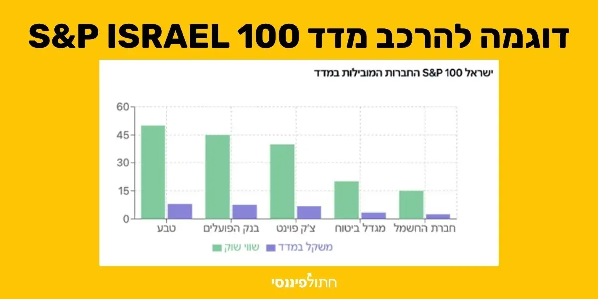 אינפוגרקפיקה שמראה את הרכב מדד S&P 100 ISRAEL בחלוקה לסקטורים בשוק ההון הישראלי ולמניות כמו בנקים, הייטק הרכב במדד לעומת שווי שוק