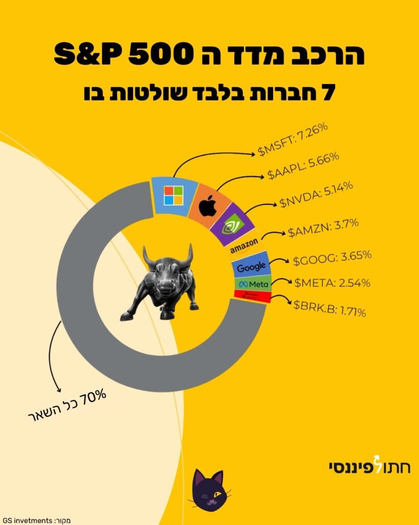 התמונה מתארת הרכב מדד S&P 500. באינפוגרפיקה יש פילוח של המניות המכילות את מדד S&P 500 בדגש ל 7 המופלאות שאלו 7 מניות שהן מובילות את המדד ועם שווי של כ 30% מהמדד כולו
