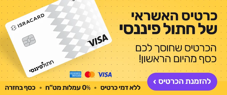 כרטיס האשראי של חתול פיננסי