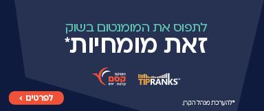 חתול פיננסי