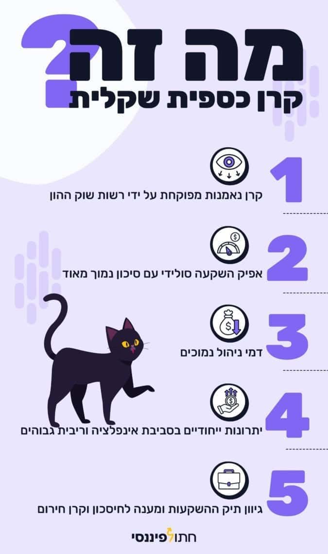 קרן נאמנות כספית שקלית - המדריך המלא 2025