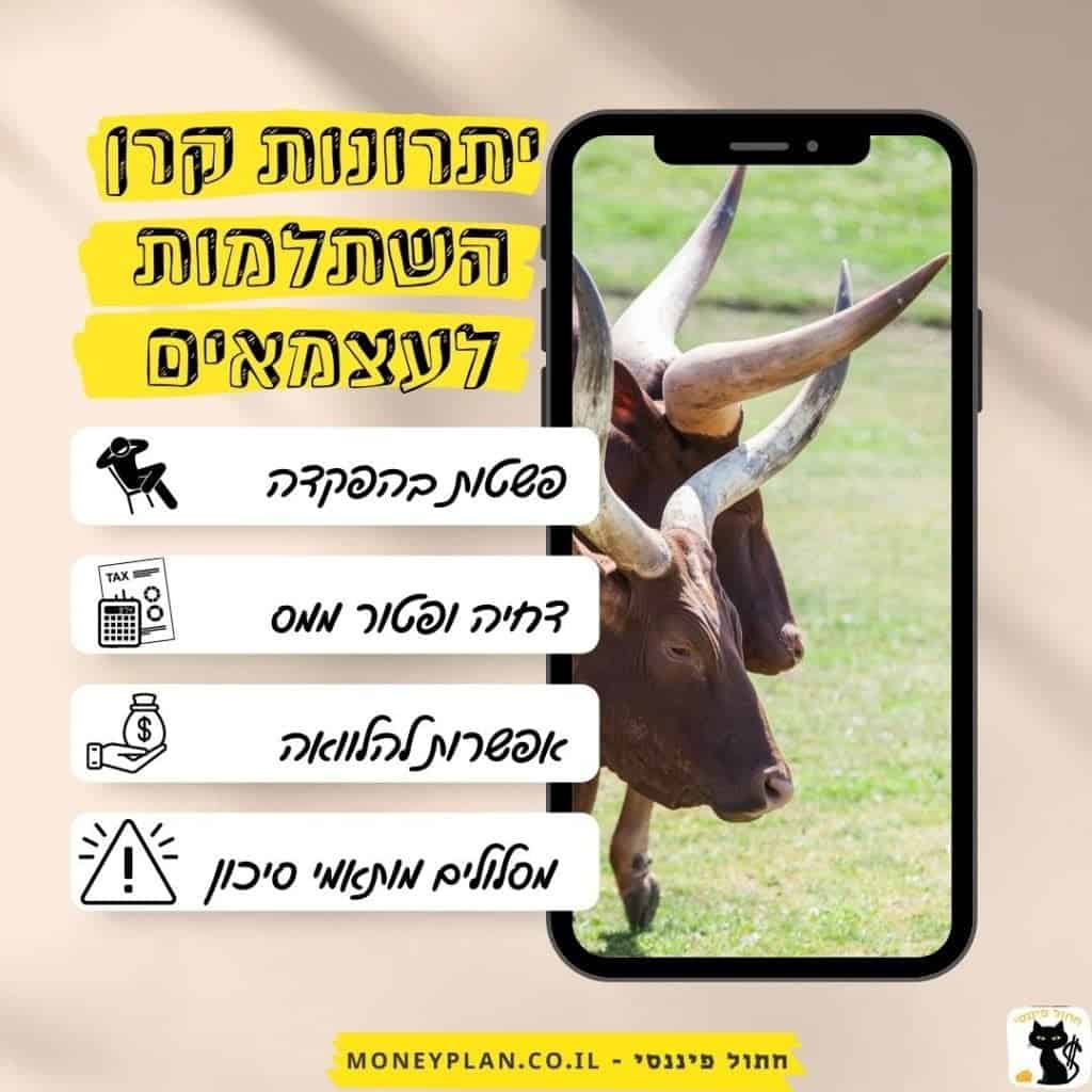 יתרונות קרן השתלמות לעצמאים
